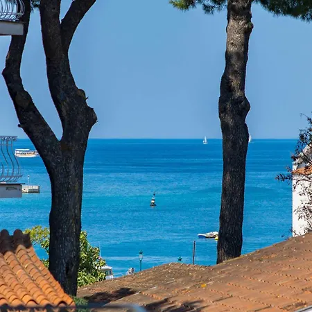 Albion Rovinj